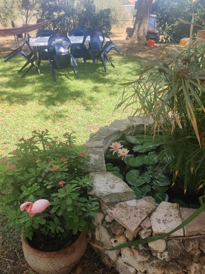Chez Rothman Sublet Apartment Shadmot Devora Luaran gambar